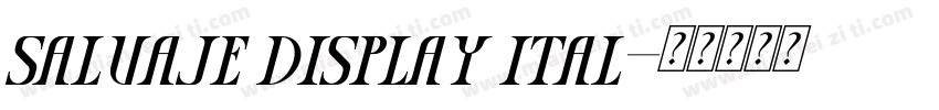 salvaje display ital字体转换
